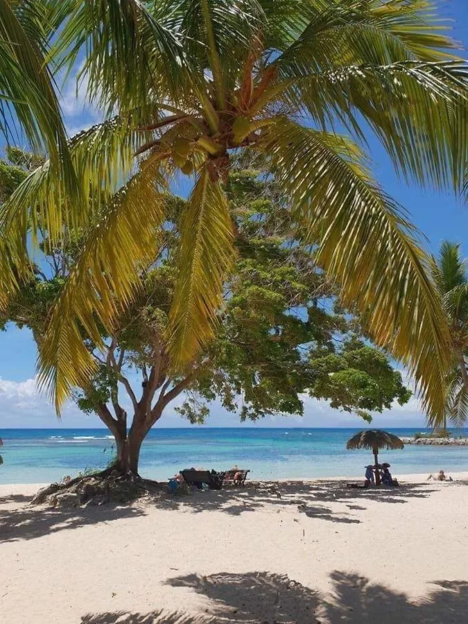 Apartment Ti.Maanga Vue Mer Pieds Dans L'Eau Saint-Francois  Guadeloupe