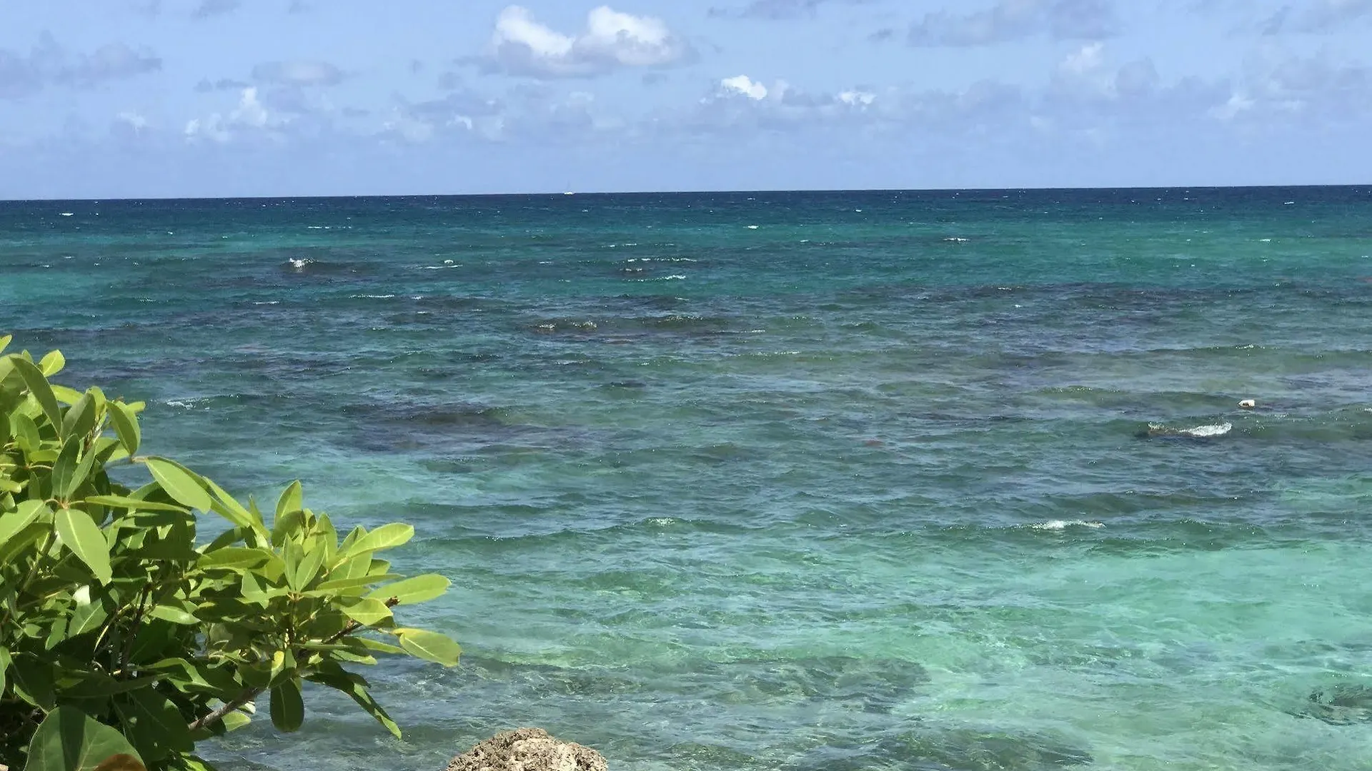 Ti.Maanga Vue Mer Pieds Dans L'Eau Saint-Francois  Guadeloupe